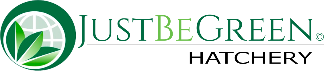 JustBeGreen Hatchery
